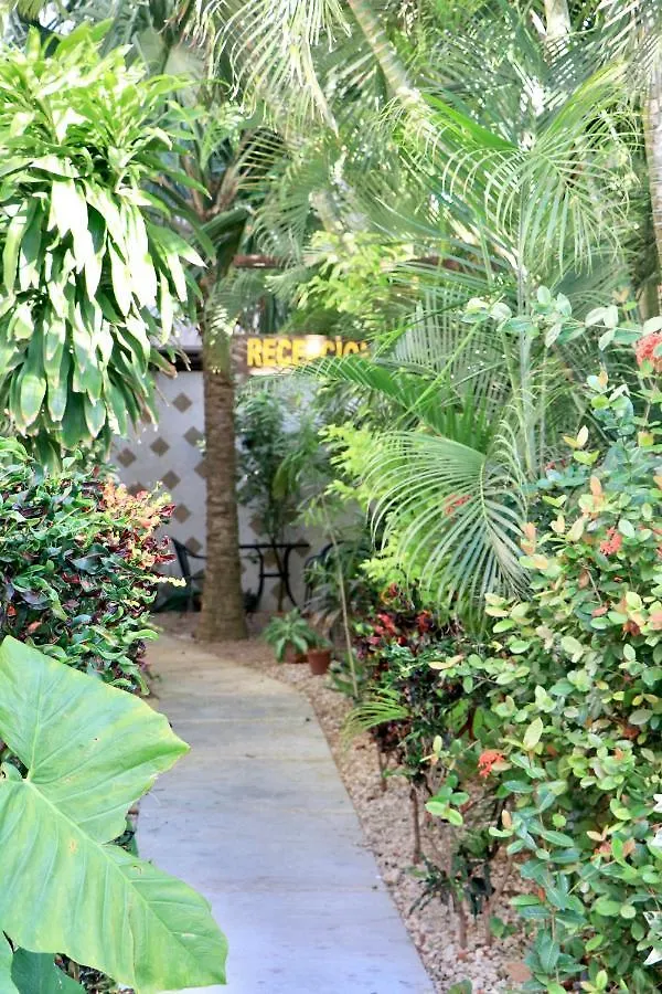 Apartament 10 Avenue, 1 Min Walking To The 5 Av & Beach Suite 4 Playa del Carmen Meksyk