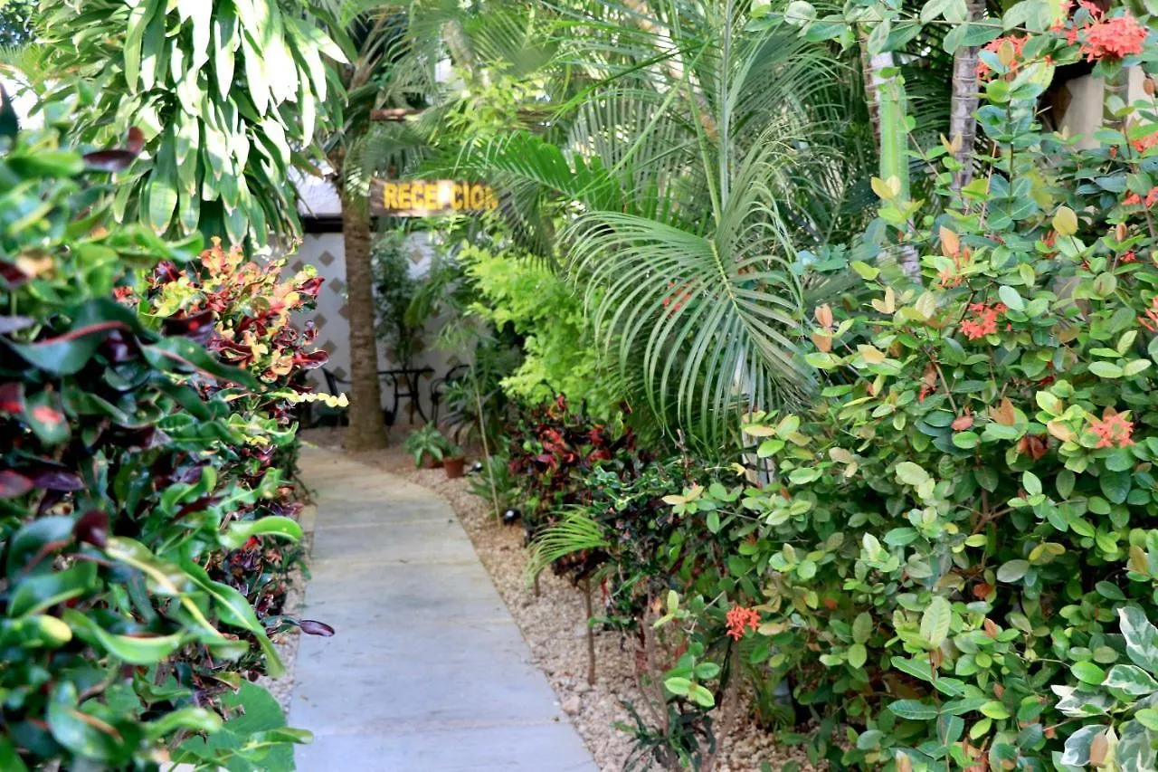 10 Avenue, 1 Min Walking To The 5 Av & Beach Suite 4 Playa del Carmen Apartament