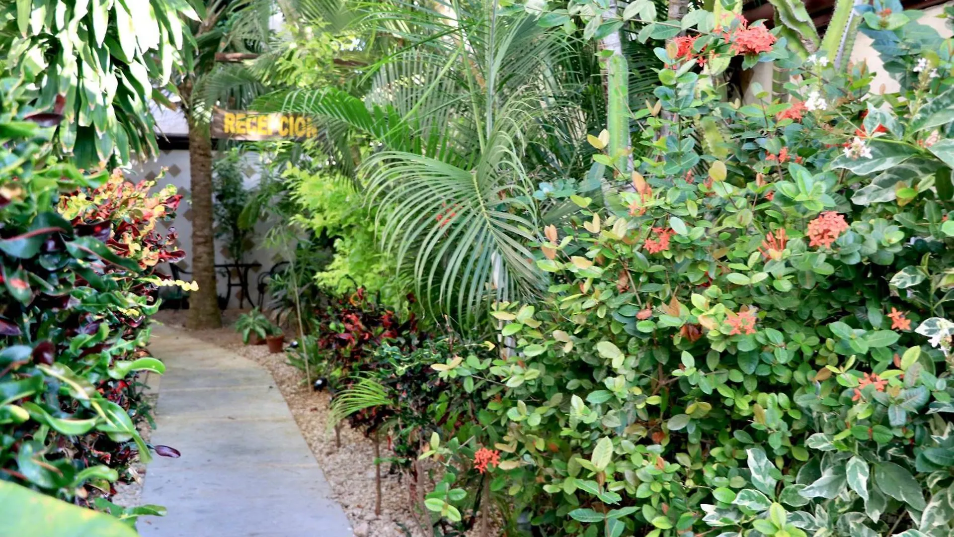 Apartament 10 Avenue, 1 Min Walking To The 5 Av & Beach Suite 4 Playa del Carmen