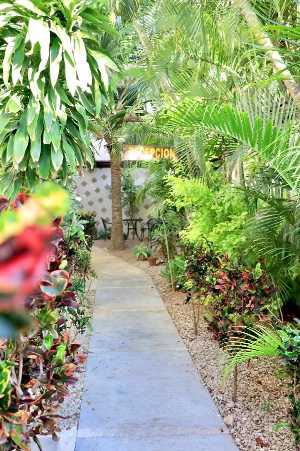Apartament 10 Avenue, 1 Min Walking To The 5 Av & Beach Suite 4 Playa del Carmen